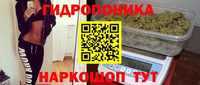 а пвп мука Кингисепп