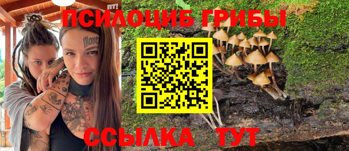 Галлюциногенные грибы ЛСД  Вход с VPN  Красноармейск 
